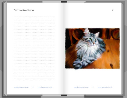 mainr coon notebook