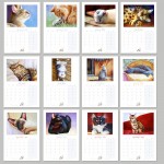 see all months in the 2013 cat calendar
