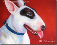 Lola Lola - English Bull terrier