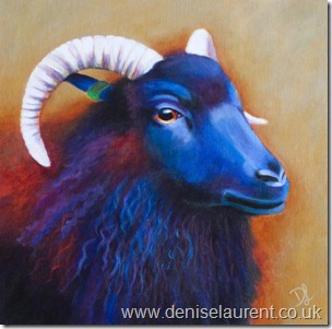 Hebridean sheep Hebridean sheep