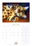 April from the 2013 cat calendar