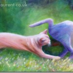 Racing Burmese – Action Cats! – Sold