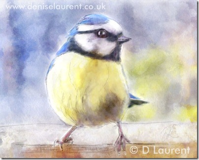 Cheeky Blue Tit Sketch