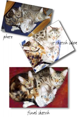 Bengal Sampler - The Initial Ideas