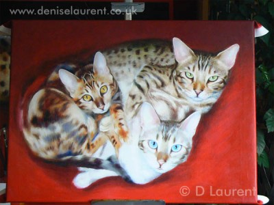 Bengal Sampler - In Progress 3