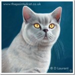 Freddie - A British Blue Cat Painting Freddie - A British Blue Cat Painting