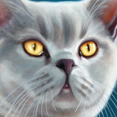 Freddie Finished Detail Freddie Finished - A close up detail of his eyes