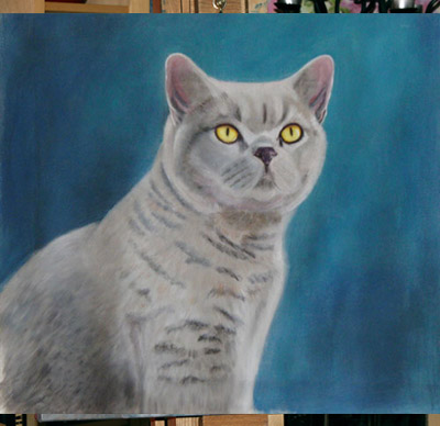 Stage 4 starting those wonderful eyes Stage 4 starting those wonderful eyes