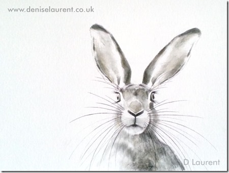 A hare sketch denise laurent A hare sketch denise laurent