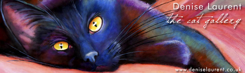 header-cat-harry