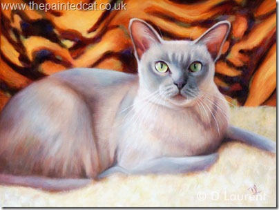 lilac burmese cat painting by D laurent