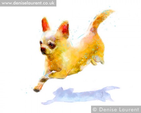 jumping chihuahua