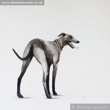 Whippet Drawing