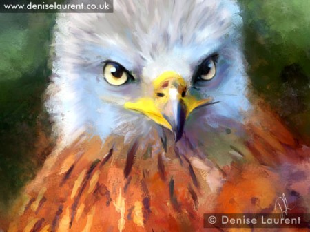 lunch-red-kite