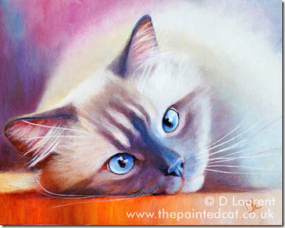 Molly - birman cat painting