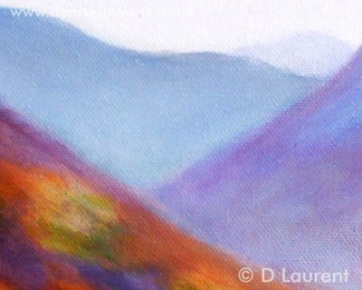 Poppy - A cloe up detail of the mountains Poppy - A cloe up detail of the mountains