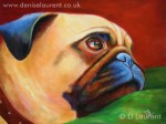 pug-in-red