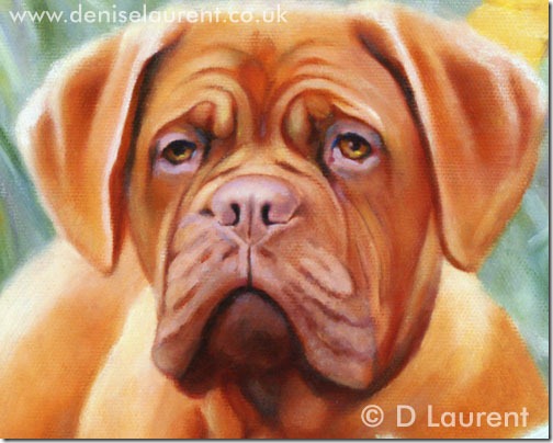 puppy-daffs-Dogue-de-Bordeaux-painting-detail puppy-daffs-Dogue-de-Bordeaux-painting-detail