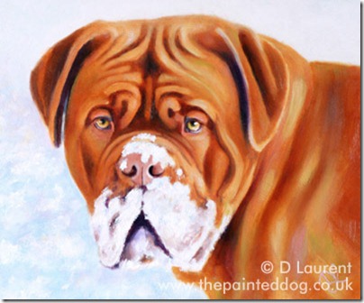 Dogue de Bordeaux Dogue de Bordeaux