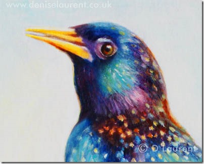 Starling detail Starling detail