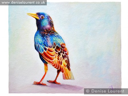 starling-print
