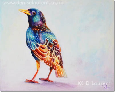 Starling by D Laurent Starling by D Laurent